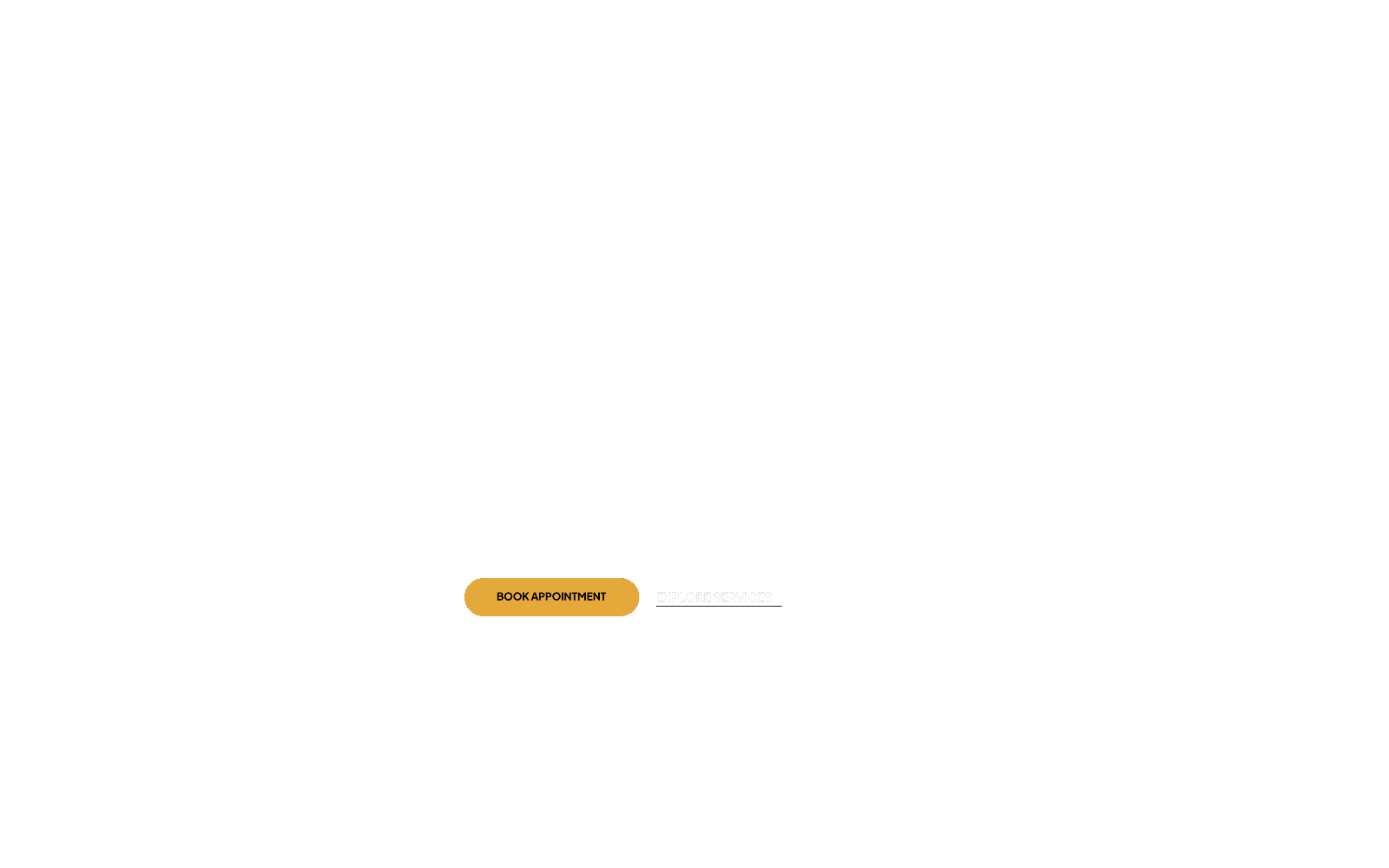 G3 LUXURY layer 3